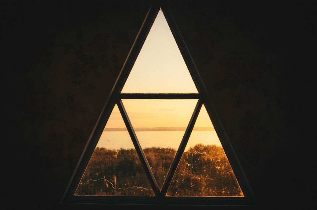 window near tall tree during golden hour
